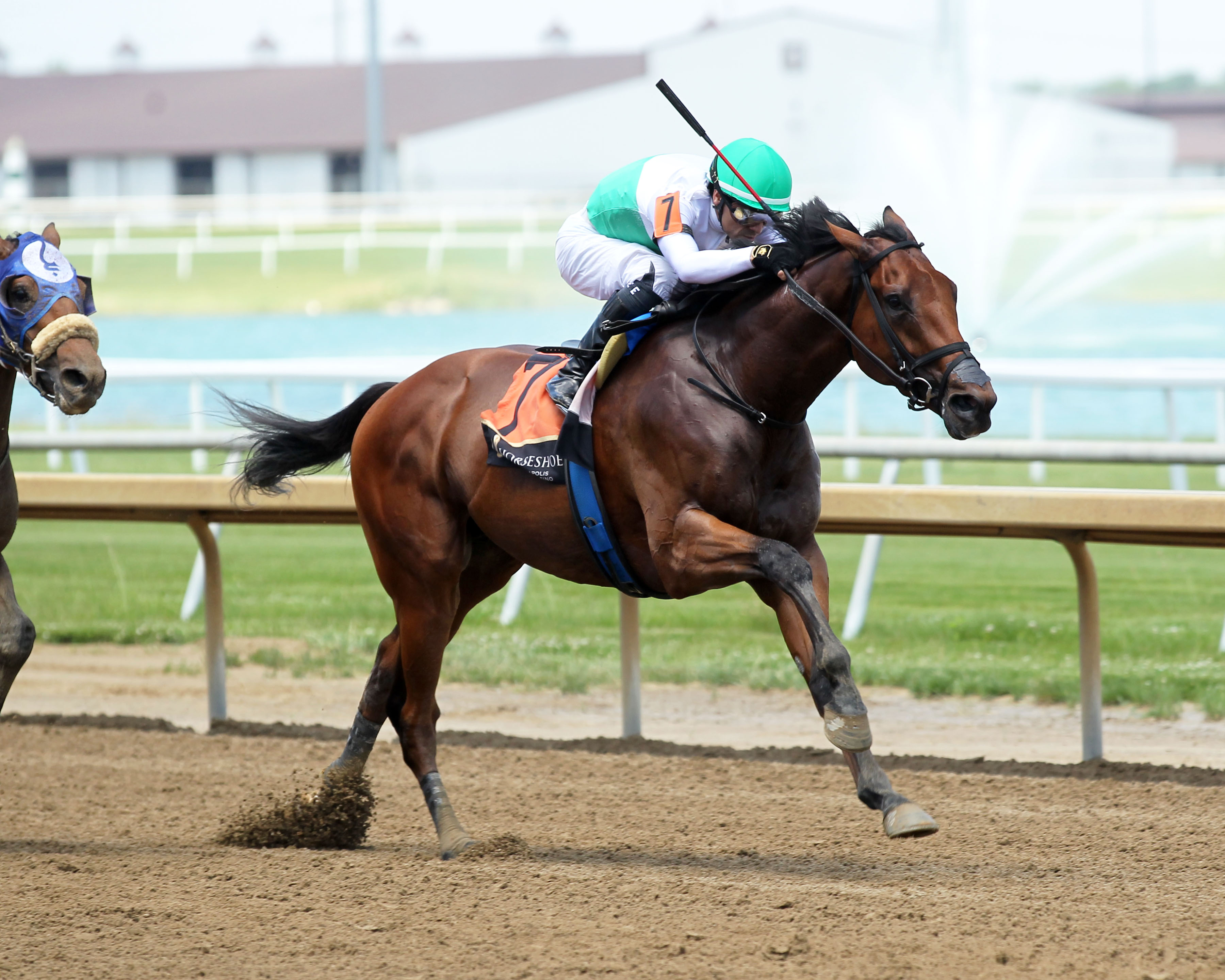 Lightly raced Zinhal takes shot at W.Va. Derby